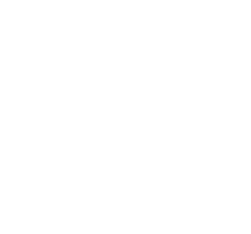 TOP NSA_logo
