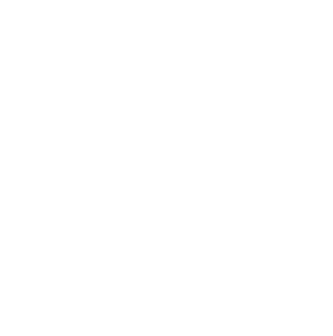 Vistage TP